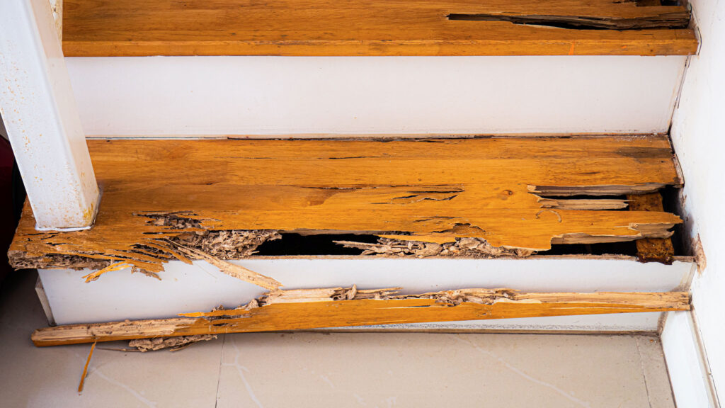 Ciemna klatka schodowa w kamienicy – odpowiedzialność właściciela za wypadek w budynku w NYC